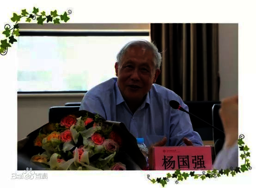 杨国强